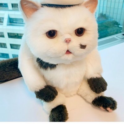MOA（M）のプロフィール写真